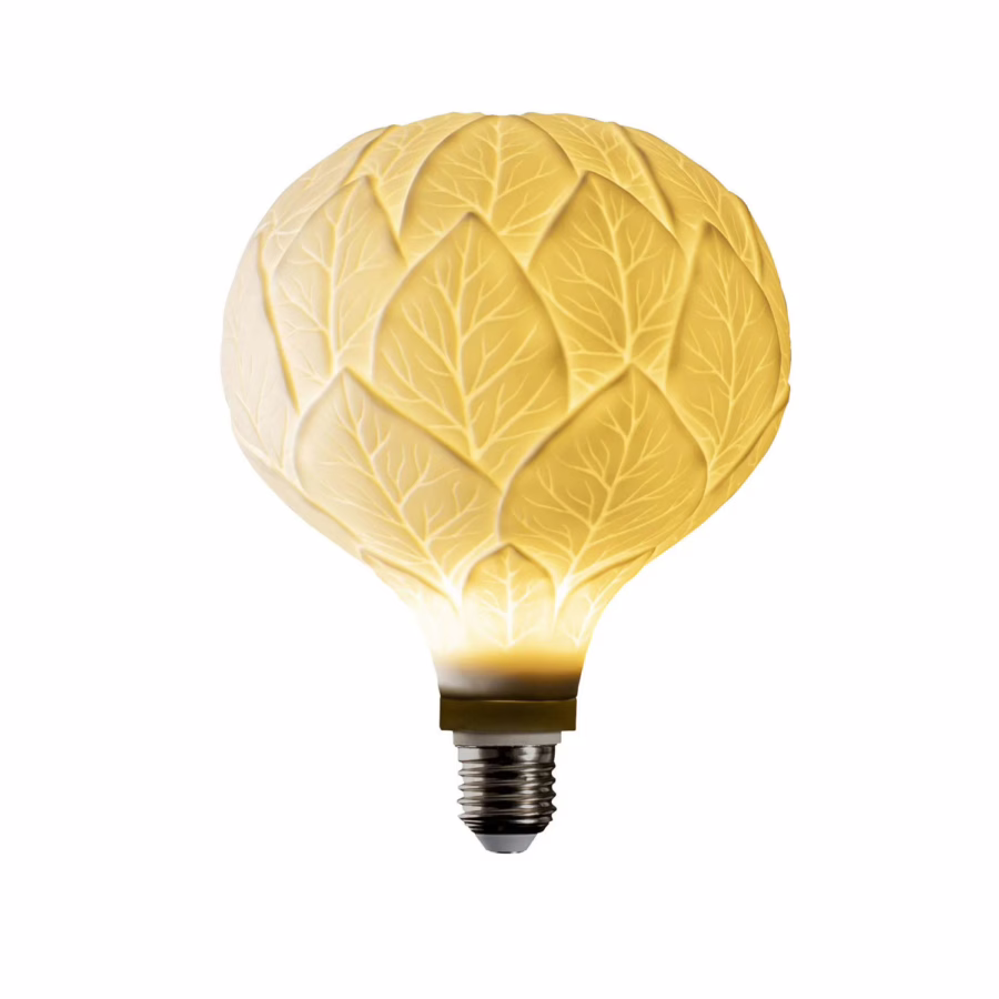Oak bulb