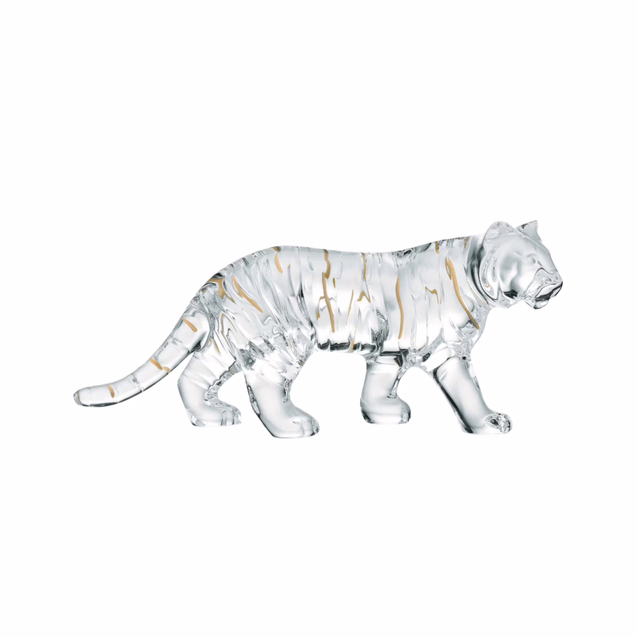 Zodiaque Tiger 2022